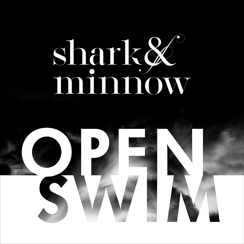 Discipline Archives - shark&minnow - A Strategy & Design Consultancy - Branding, Marketing, Advertising, Public Relations, & Video Production